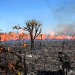 Maranhão é o estado do NE com maior número de queimadas, diz INPE