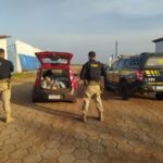 Eleições 2022: PRF apreende novo carro com cestas básicas, dinheiro e material de políticos no Maranhão